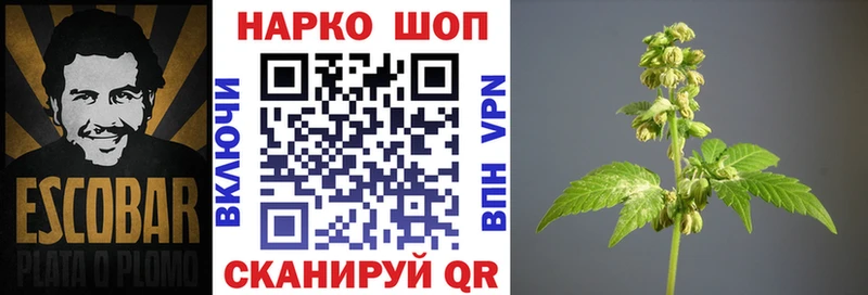 Продажа наркотиков Светлоград Cocaine Мефедрон ГАШИШ