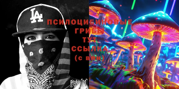 гашик Арсеньев