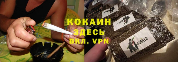 гидра Аркадак