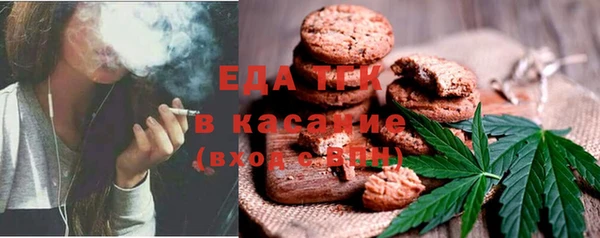 гашик Арсеньев