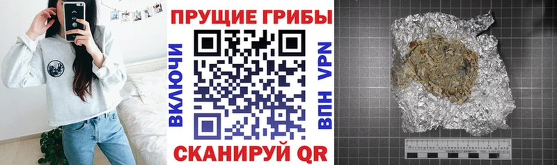 Псилоцибиновые грибы мицелий  наркотики  Светлоград 